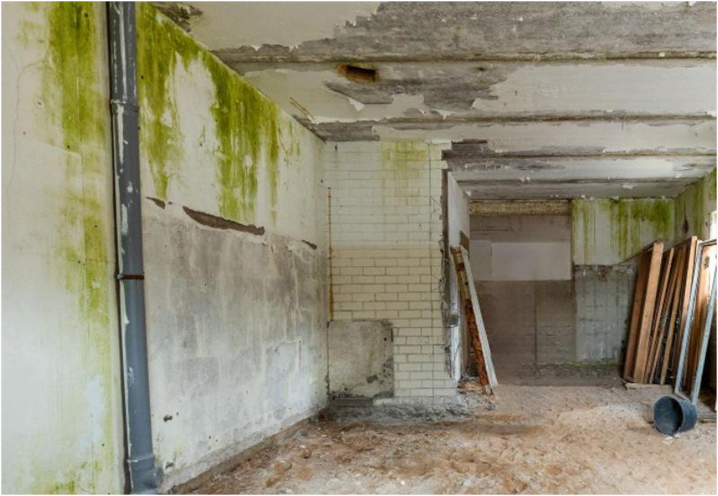 Musty Basement Smell With No Visible Water: What It Usually Means
